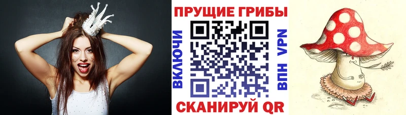 Галлюциногенные грибы MAGIC MUSHROOMS  Разумное 